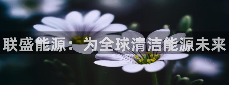 新宝平台gg