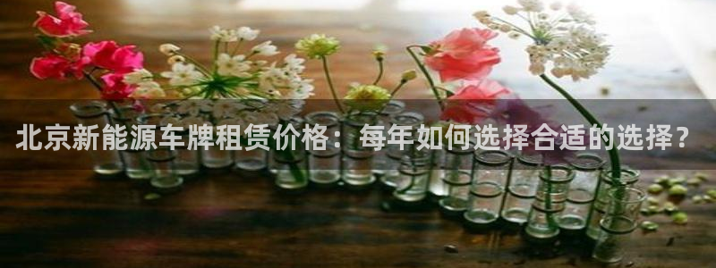 新宝 gg .com