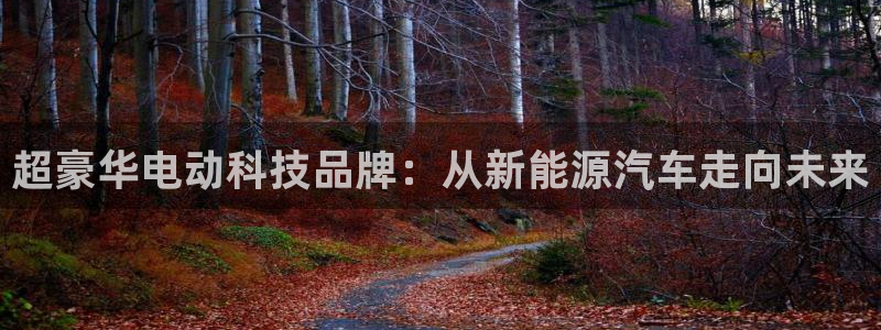 新宝gg 彩票
