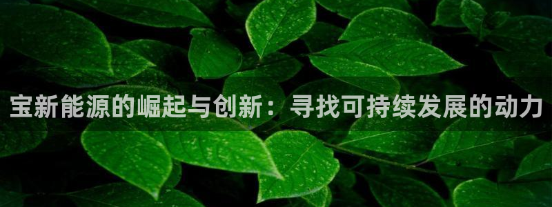 新宝gg-创业奇迹
