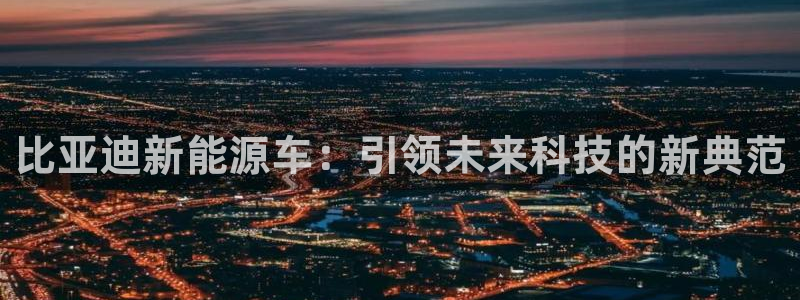 新宝gg辅助：比亚迪新能源车：引领未来科