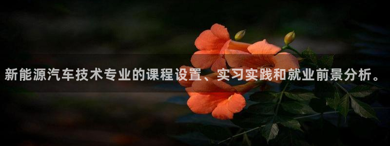 新宝gg返点模式：新能源汽车技术专业的课