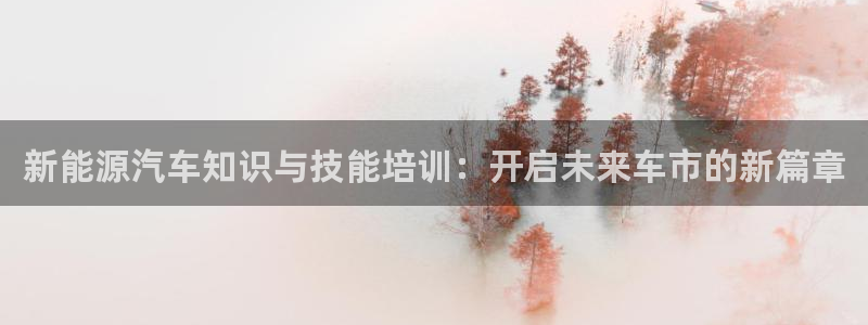 太阳gg和新宝gg：新能源汽车知识与技能