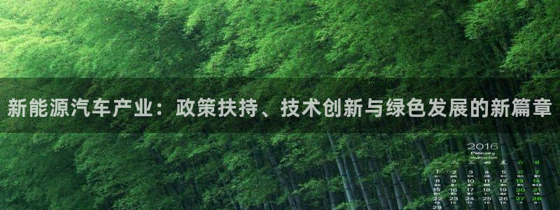 新宝gg 黑：新能源汽车产业：政策扶持、