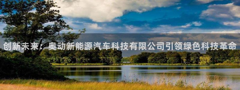新宝GG挂机