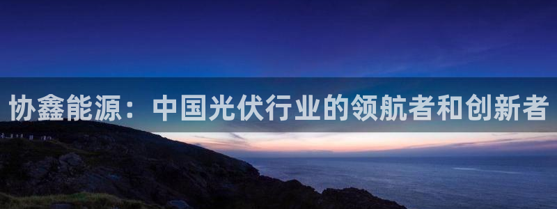 新宝gg是什么