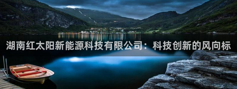 网站是新宝gg