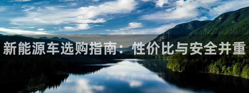 新宝gg娱乐登录地址：新能源车选购指南：