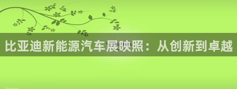 新宝gg登陆：比亚迪新能源汽车展映照：从