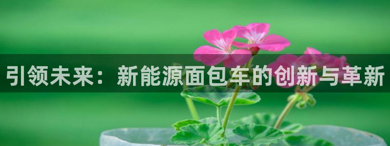 新宝gg试玩：引领未来：新能源面包车的创