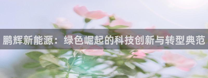 新宝gg代：鹏辉新能源：绿色崛起的科技创