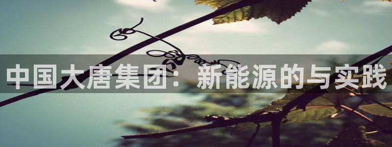 新宝gg代理登录：中国大唐集团：新能源的