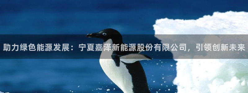 重庆新宝gg：助力绿色能源发展：宁夏嘉泽