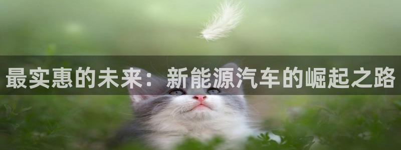新宝gg登陆：最实惠的未来：新能源汽车的