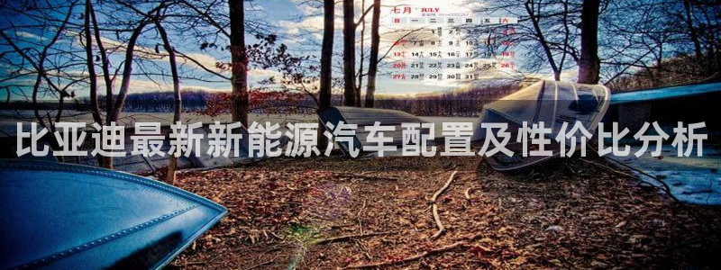 新宝gg官方下载：比亚迪最新新能源汽车配