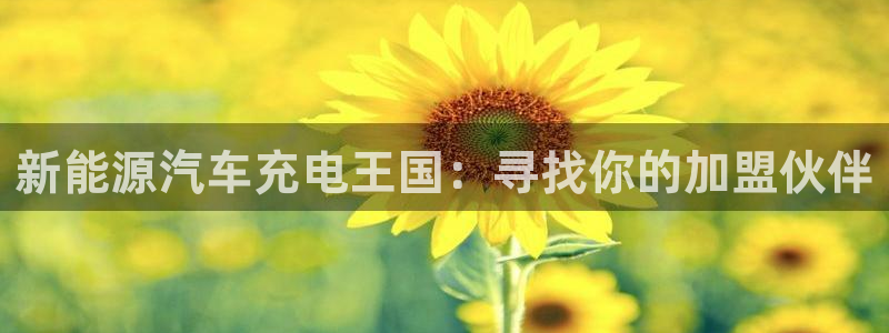 新宝 gg .com：新能源汽车充电王国