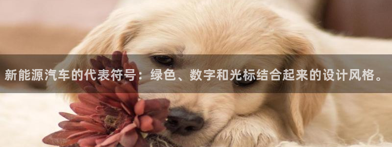 新宝gg开：新能源汽车的代表符号：绿色、