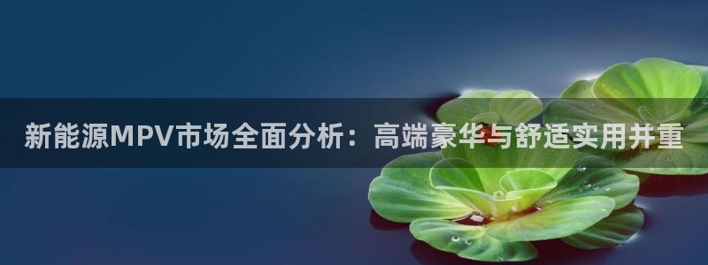 正版新宝gg