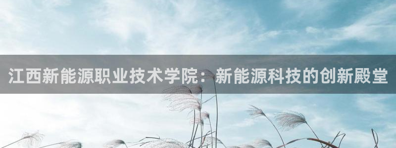 新宝gg试玩：江西新能源职业技术学院：新