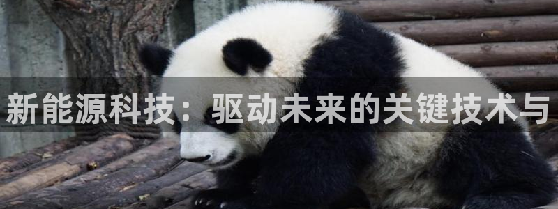 新宝gg首页:新能源科技:驱动未来的关键技术与