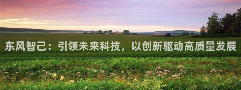 新宝gg首页:东风智己:引领未来科技,以创新驱动高质量发展