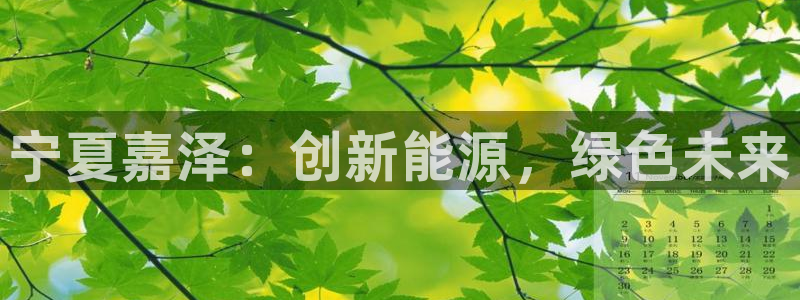 77新宝gg
