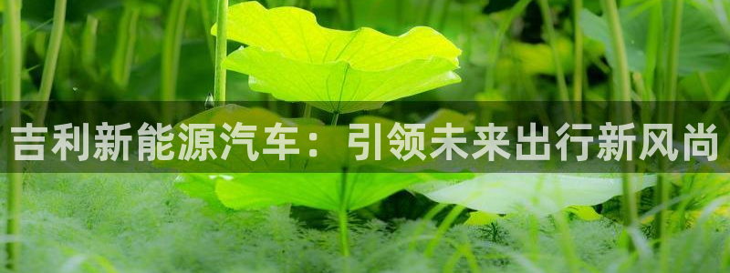 新宝gg推荐：吉利新能源汽车：引领未来出