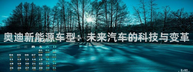 新宝gg怎么样