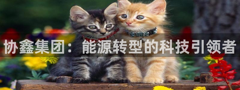 新宝GG苹果版:协鑫集团:能源转型的科技引领者