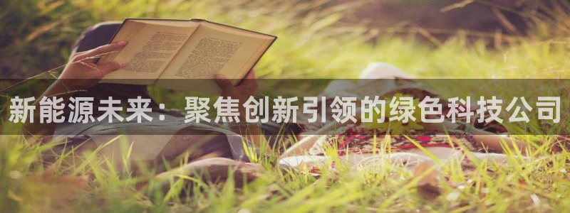 新宝一gg测速:新能源未来:聚焦创新引领的绿色科技公司