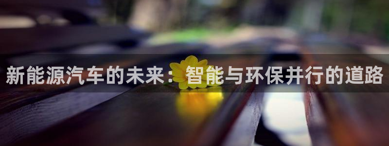 新宝gg好吗