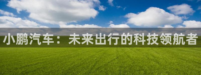 新宝gg博彩