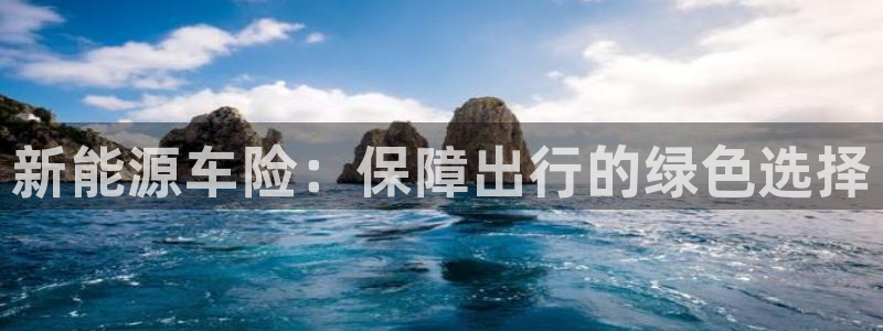 新宝gg注册 776317:新能源车险:保障出行的绿色选择