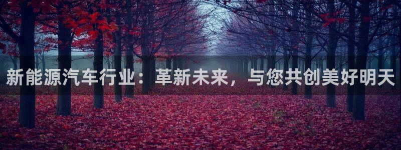 新宝gg登录线路测试:新能源汽车行业:革新未来,与您共创美好