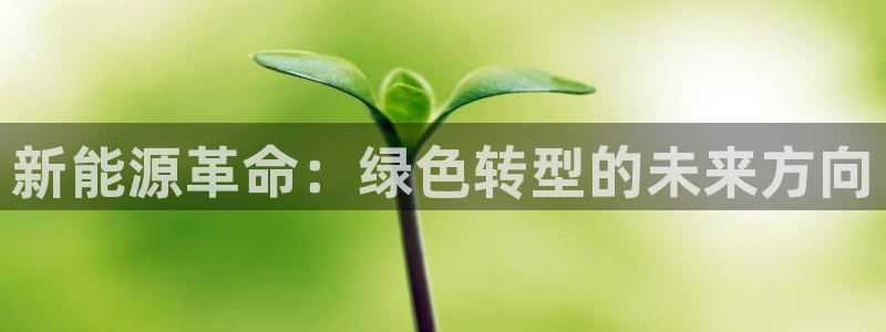 新宝gg龙虎规则