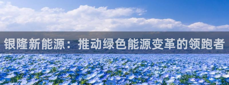 新宝 gg 下载:银隆新能源:推动绿色能源变革的领跑者