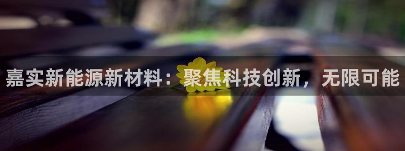 新宝gg 登录页面：嘉实新能源新材料：聚