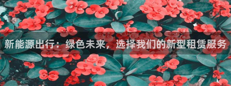 新宝GG反点：新能源出行：绿色未来，选择