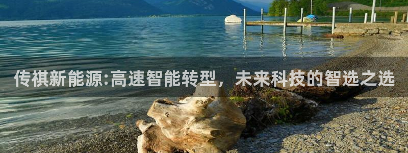 新宝gg有假吗：传祺新能源:高速智能转型