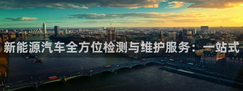 新宝GG挂机：新能源汽车全方位检测与维护