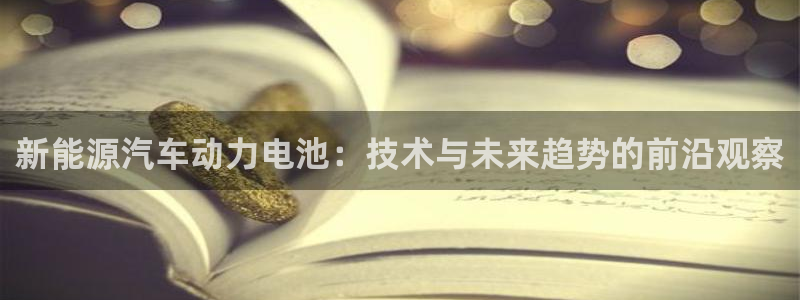 新宝gg走势:新能源汽车动力电池:技术与未来趋势的前沿观察