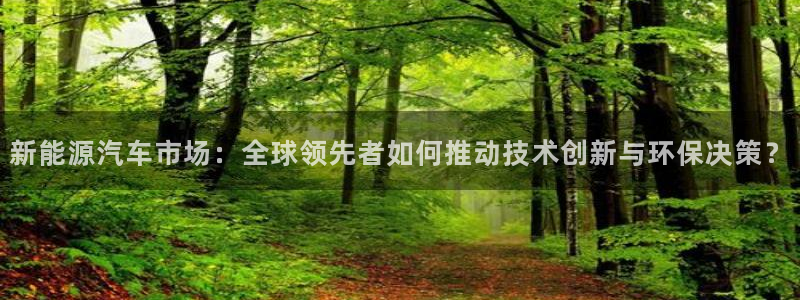 新宝gg吧:新能源汽车市场:全球领先者如何推动技术创新与环保