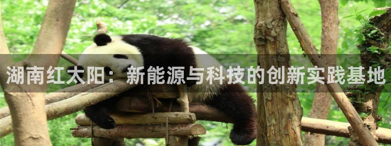 新宝GG氯78778:湖南红太阳:新能源与科技的创新实践基地