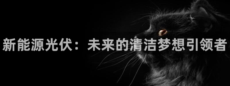 新宝GG的老板:新能源光伏:未来的清洁梦想引领者