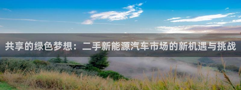 新宝 -gg登录:共享的绿色梦想:二手新能源汽车市场的新机遇