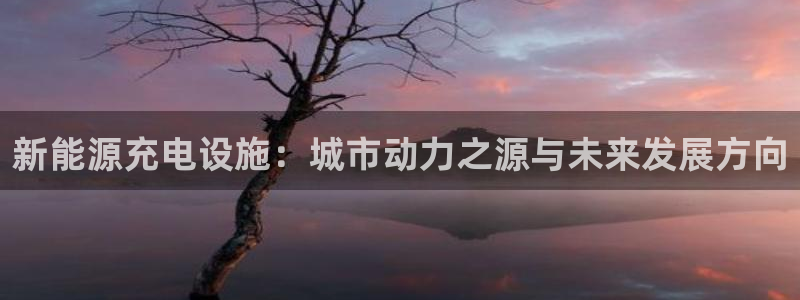 新宝gg申请账号:新能源充电设施:城市动力之源与未来发展方向