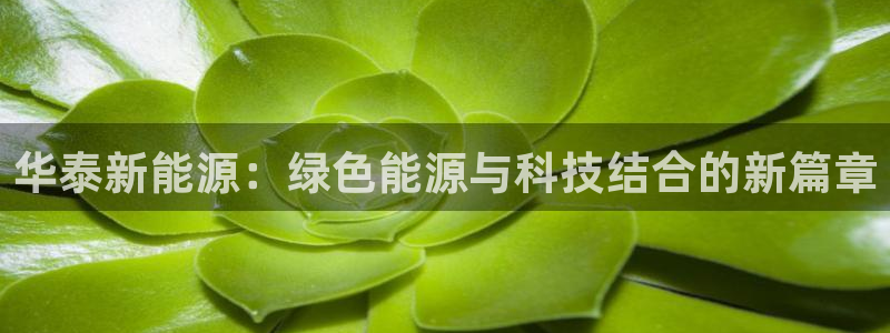 新宝gg群:华泰新能源:绿色能源与科技结合的新篇章