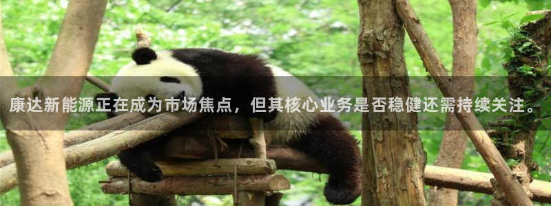 新宝奇迹GG:康达新能源正在成为市场焦点,但其核心业务是否稳