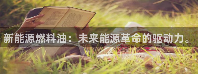 新宝gg龙虎规则