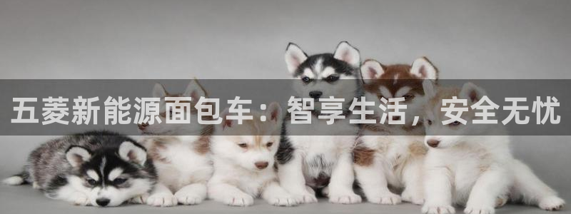 新宝GG登录网页:五菱新能源面包车:智享生活,安全无忧